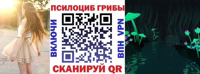 kraken ссылки Тольятти Галлюциногенные грибы Magic Shrooms